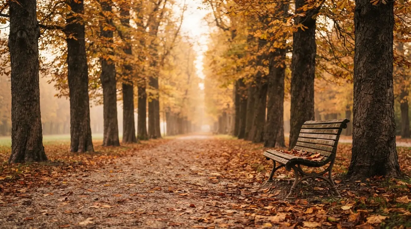 Eine Parkallee mit Kastanienbäumen und einer leeren Bank, Herbstlaub bedeckt den Kiesweg.