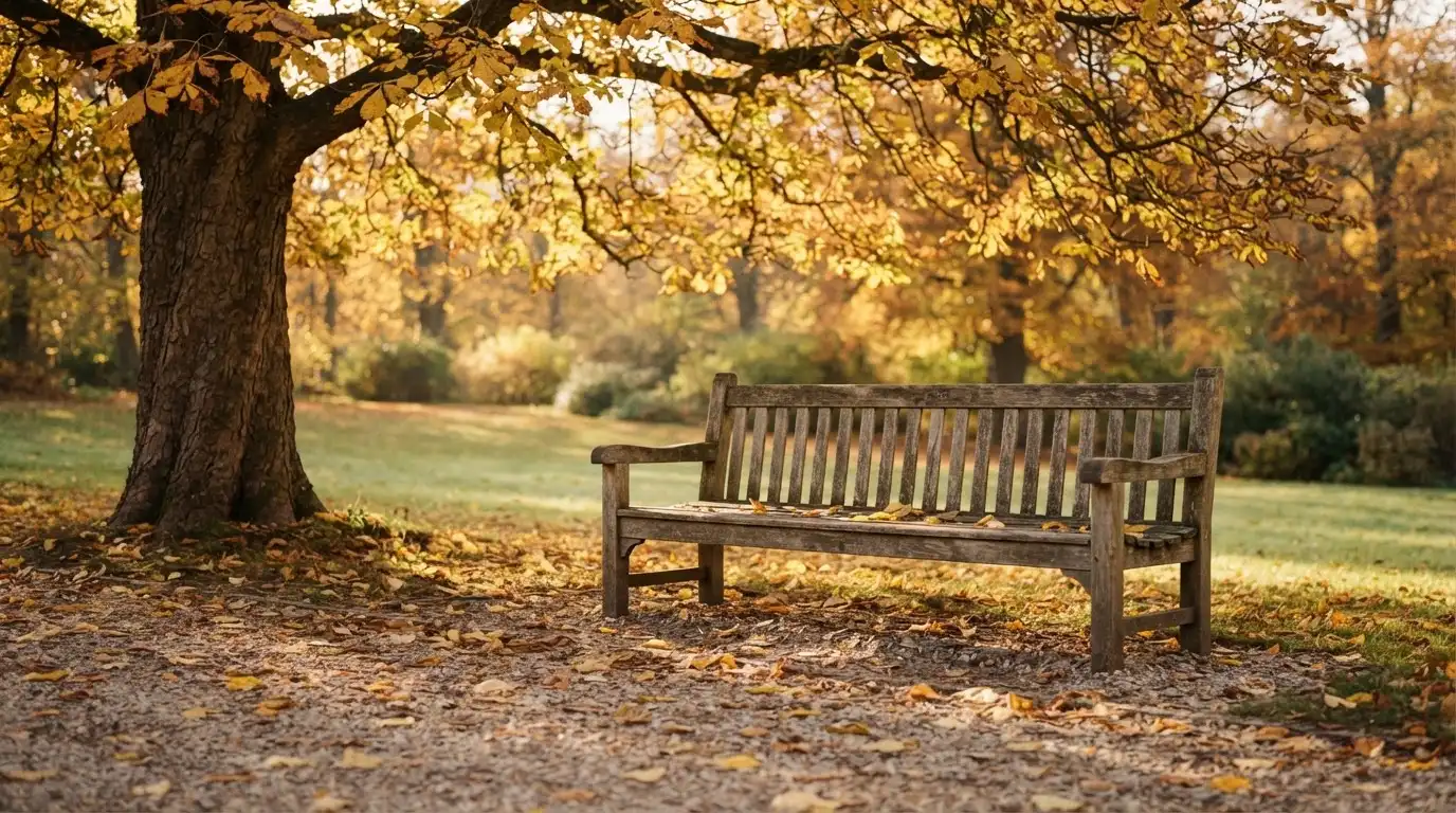 Eine Parkbank unter einer Kastanie im Herbst, auf dem Kiesweg liegen gelbe Blätter.