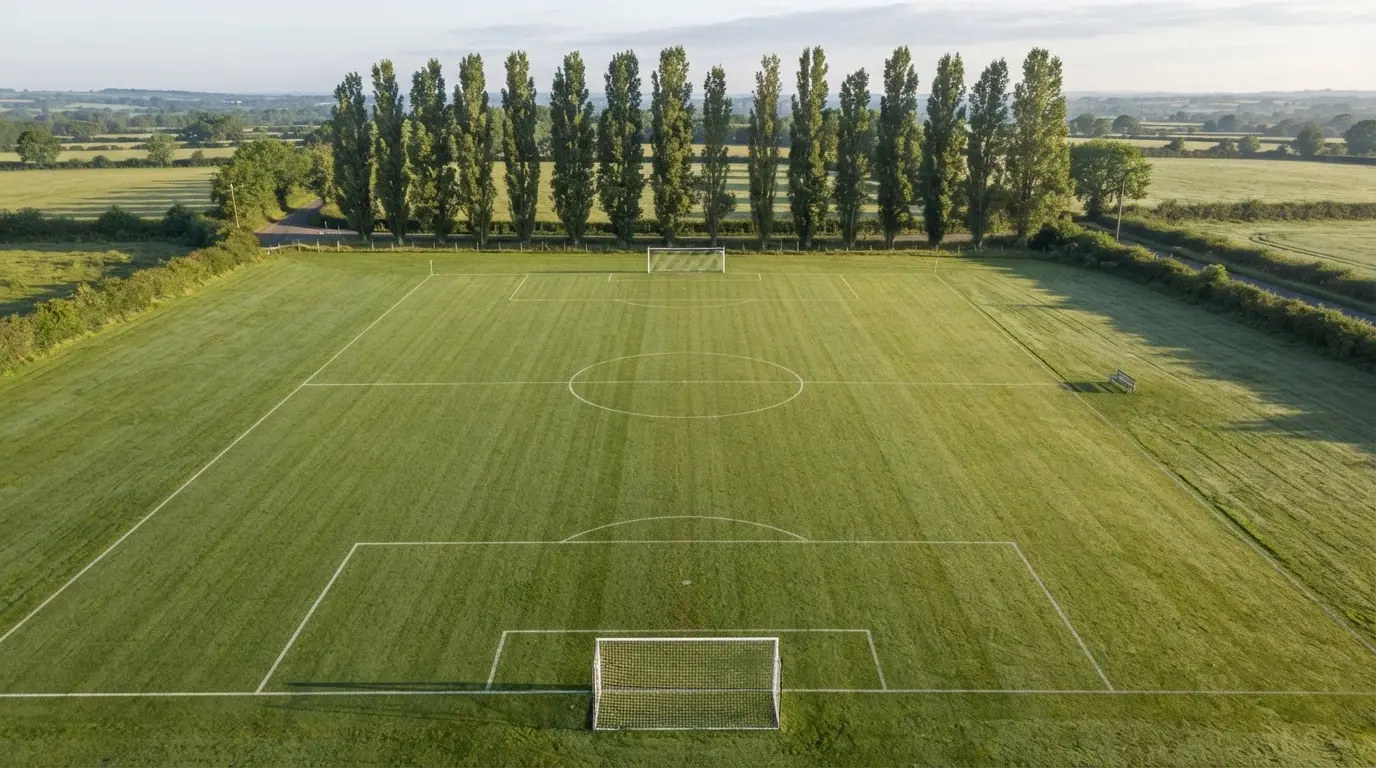 Ein leerer Fussballplatz mit weissen Linien von oben gesehen im Morgenlicht, am Rand stehen zwei Tore und eine Reihe Pappeln.