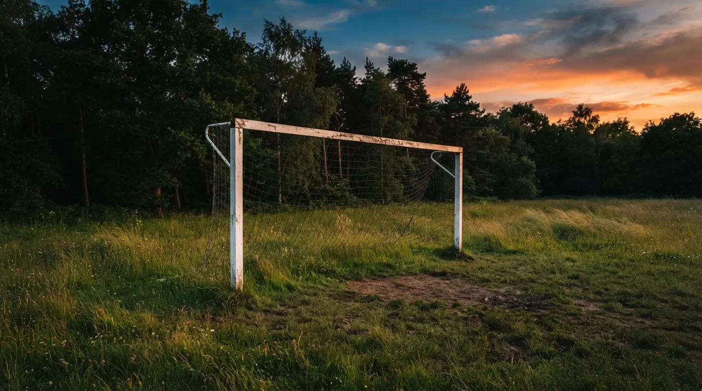 Ein Fussballtor ohne Netz steht auf einer Wiese am Waldrand, die Abenddämmerung färbt den Himmel orange.