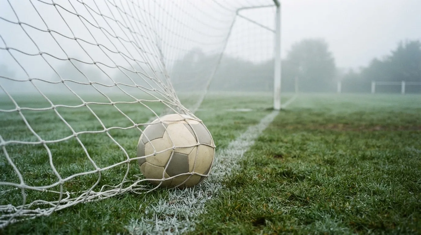 Ein Fussball liegt im Netz hinter einem Tor, weicher Morgennebel hängt über dem Rasen