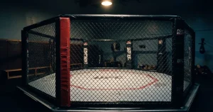 UFC Wetten in der Schweiz 2026: Anbieter, Regeln und Risiken