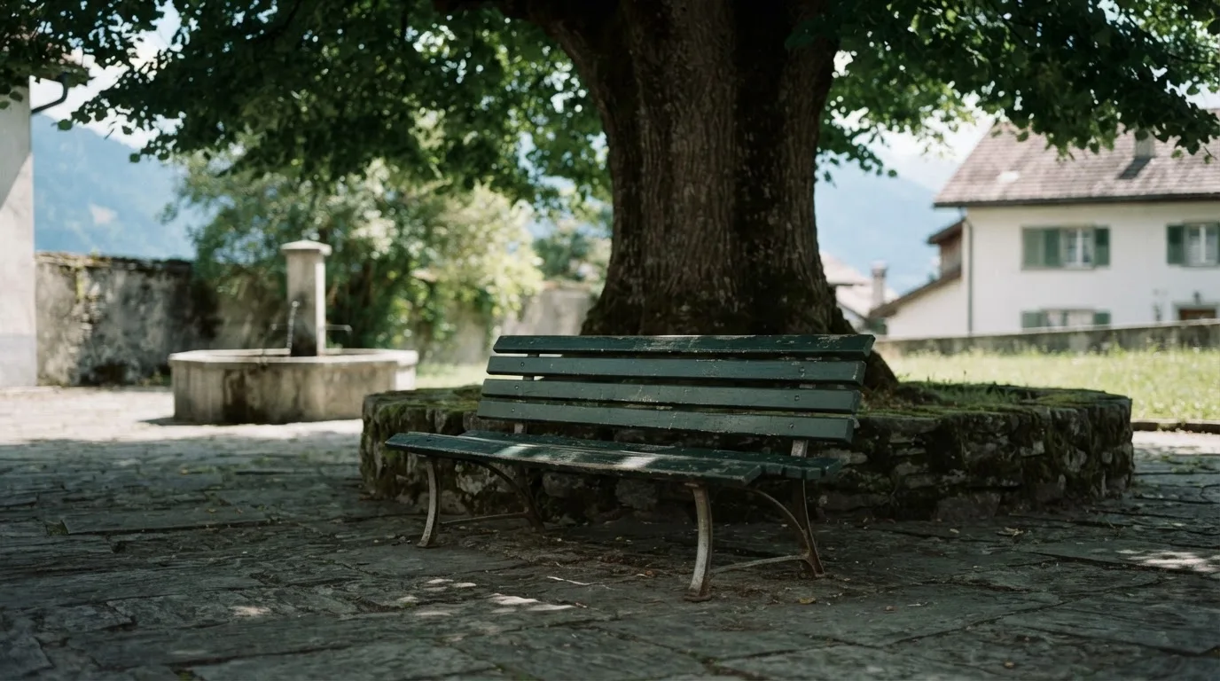 Eine leere Bank steht unter einer alten Linde auf einem Dorfplatz im Schatten.