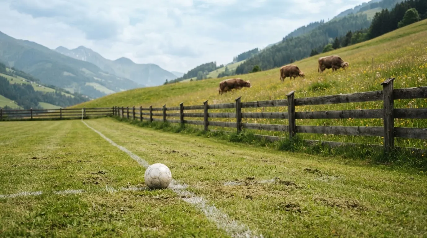 Ein Dorffussballplatz mit Holzzaun am Hang, dahinter grasen Kühe auf einer Weide unter hohen Wolken.